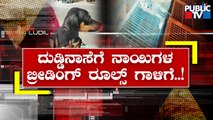 Public TV Sting Operation On Dog Breeding Centres In Bengaluru | Public TV