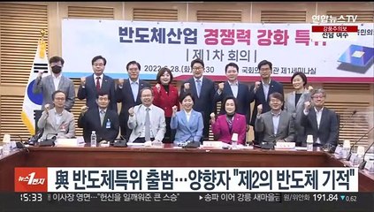 與 반도체특위 출범…양향자 "제2의 반도체 기적"