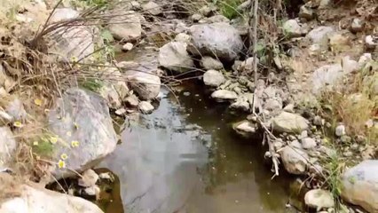 Erzincan'daki Siyanür Sızıntısıyla İlgili Çevre Bakanlığı ve Şirket Yöneticilerine Suç Duyurusu