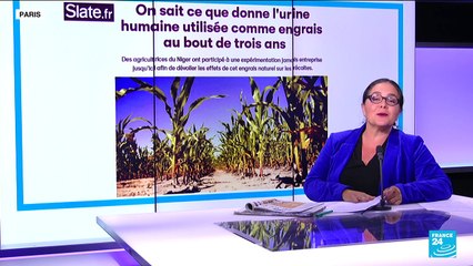 'Why isn't there mouse-flavoured cat food?'