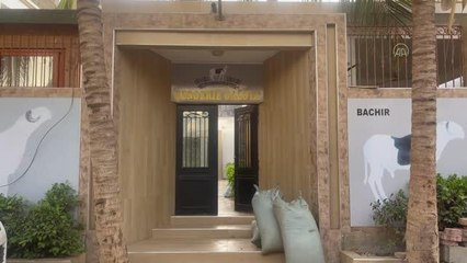 Senegal'de "koyunların kralı" ladoum 70 bin dolara alıcı buluyor