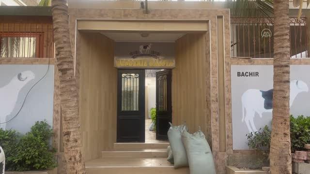 Senegal'de koyunların kralı ladoum 70 bin dolara alıcı buluyor