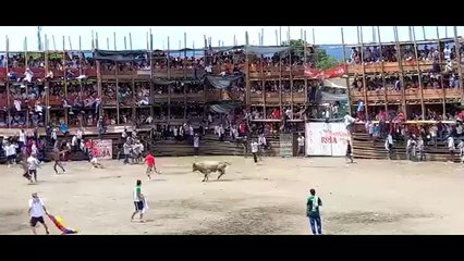 எருது வீடும் போட்டியில் விபரீதம்.. அப்படியே சரிந்து விழுந்த ஸ்டேடியம் - வீடியோ