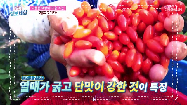 구기자를 홍국으로 발효해 만든 ‘홍국 발효 구기자’ TV CHOSUN 220628 방송