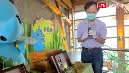 左鎮化石館暑假特展25種、110件昆蟲標本 彩虹鍬形蟲報到