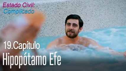 Hipopótamo Efe - Estado Civil Complicado Capítulo 19