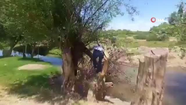 Son dakika! Diyarbakır'da uyuşturucu operasyonu: 2 bin kök Hint keneviri imha edildi