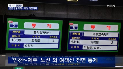 분리대 넘어지고 여객선도 멈춰…수도권 서부에 밤새 강풍