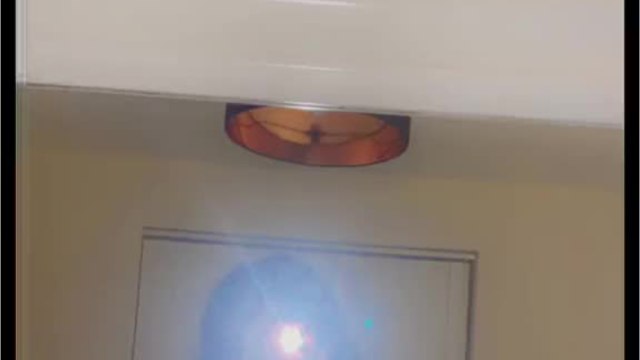 22-Jährige freut sich über wachsenden Babybauch , doch dann folgt die schreckliche Diagnose