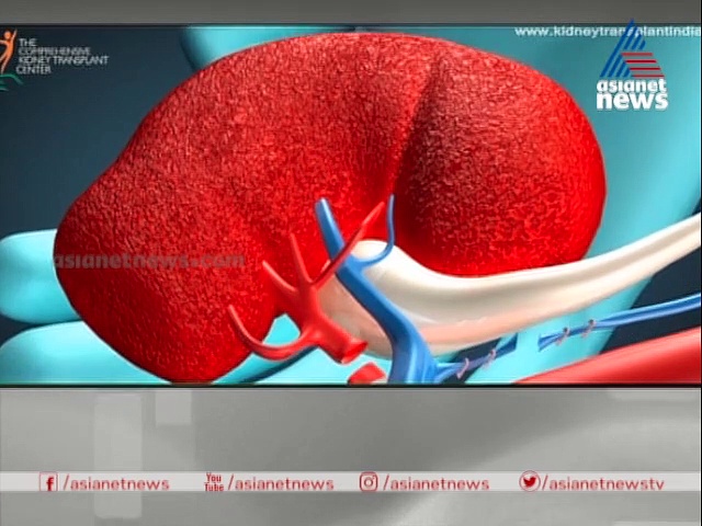 വൃക്ക മാറ്റിവെക്കലും ഡയാലിസിസും: ഇക്കാര്യങ്ങള്‍ ശ്രദ്ധിക്കാം, ഡോക്ടര്‍ ലൈവ്