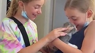 Twins Surprised by New Kitten Overcome with Joy