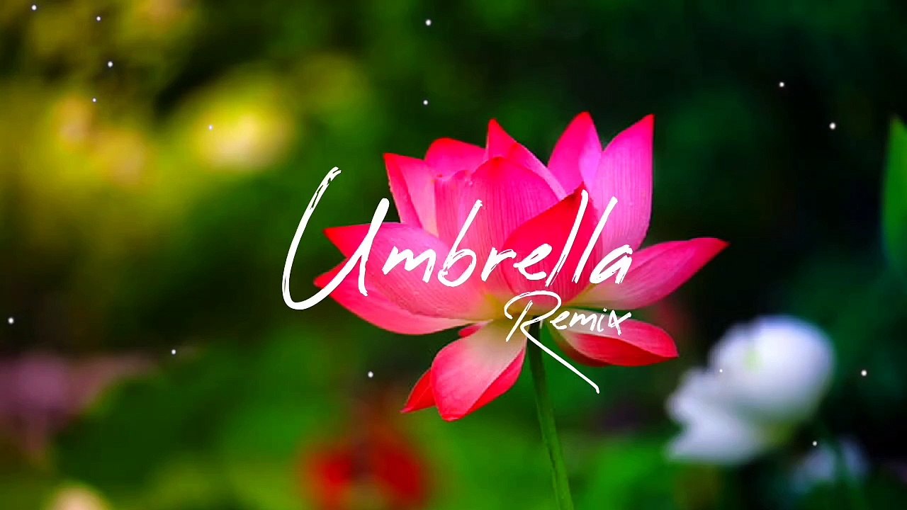 Umbrella Remix