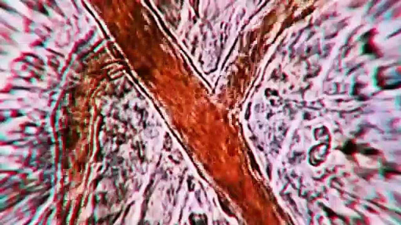 Ich weiß nicht, warum Leute die Formel 1 gucken - Aber nach dem Trailer zu F1 22 will ich sofort auf die Rennbahn