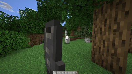 Minecraft: Cuerno Reflexión