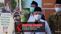 Jawab Maruf Amin Soal Permohonan Legalitas Ganja Medis di Indonesia