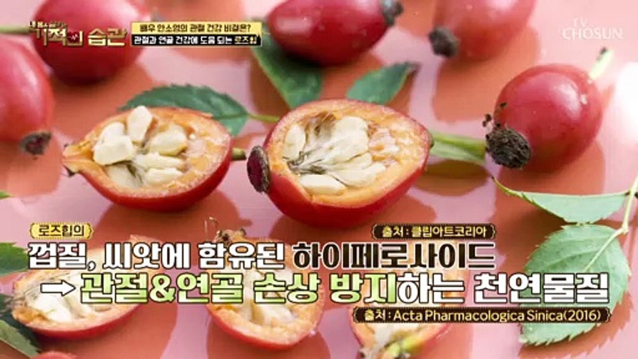 관절+연골 손상 방지하는 ‘로즈힙’ 속 효자 성분 등장 TV CHOSUN 220628 방송