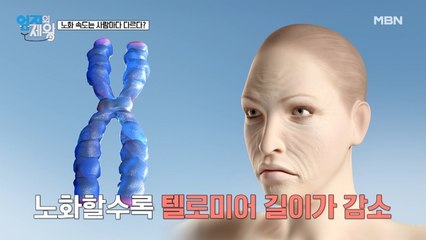인간의 나이테 텔로미어! 텔로미어 길이가 노화를 멈추는 열쇠?!