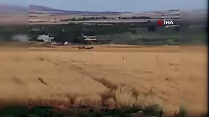 Çiftçiler tedirgin! Gece gündüz silahla nöbet tutuyorlar, ses topunu devreye aldılar