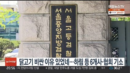 닭고기 비싼 이유 있었네…하림 등 6개사·협회 기소