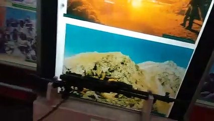 महाराजा रणजीत सिंह वर Musem में कारगिल गैलरी देखे _ Kargil Gallery In Musuem Ludhiana _ War Musem