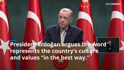 Turkey is now Türkiye: What other countries have changed their name?