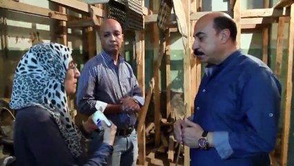 محافظ أسوان يزور أسرة "العقاد" فى ذكرى ميلاده الـ133