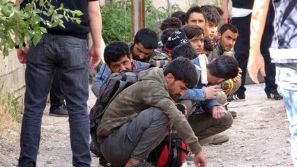 Van'da 20 düzensiz göçmen yakalandı
