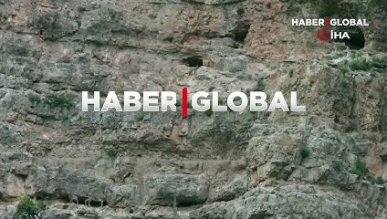 Yavru dağ keçilerinin sarp kayalıklardaki tehlikeli oyunları kameralara yansıdı