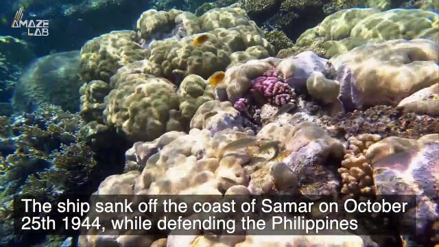 Submariners Discover Remains of Deepest Shipwreck Ever Discovered