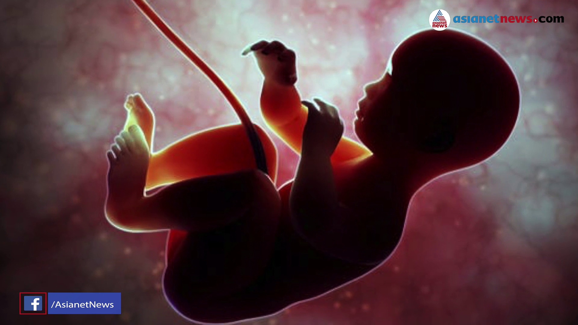 പ്ലാസന്റയിൽ മൈക്രോ പ്ലാസ്റ്റിക് സാന്നിധ്യം ; അപകടകരമെന്ന് ഗവേഷകർ