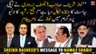 "Nawaz Sharif! Asif Zardari has buried your politics", Sheikh Rasheed's message to Nawaz