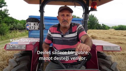 Buğday hasadı başladı, çiftçi üretim maliyetlerinden şikayetçi: Seneye ekmeyeceğim