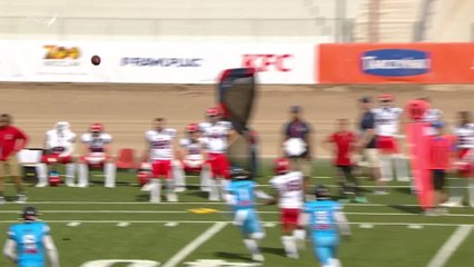 Week 4: Hamburg Sea Devils at Panthers Wroclaw