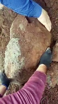 رحله البحث عن الكنز .. كنز مصري | Treasure hunt trip.. Egyptian treasure