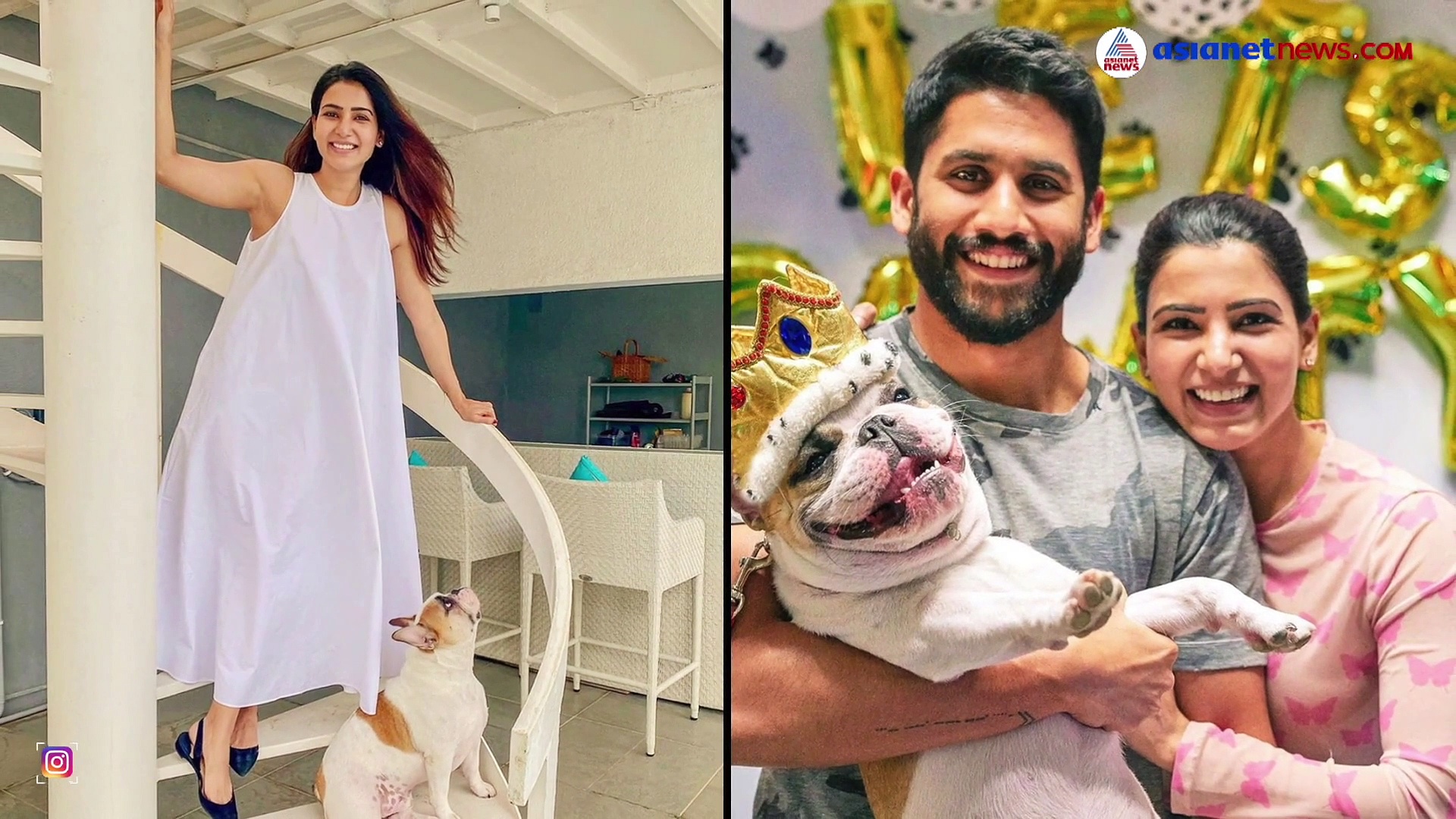 'ജീവനാംശത്തിന്റെ ആവശ്യമില്ല'; നാഗചൈതന്യയുടെ 200 കോടി നിരസിച്ച് സാമന്ത