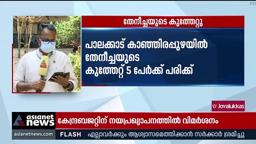 Honey Bee Sting : പാലക്കാട് തേനീച്ചയുടെ കുത്തേറ്റ് 5 പേര്‍ക്ക് പരിക്ക്; ഒരാളുടെ നില ഗുരുതരം