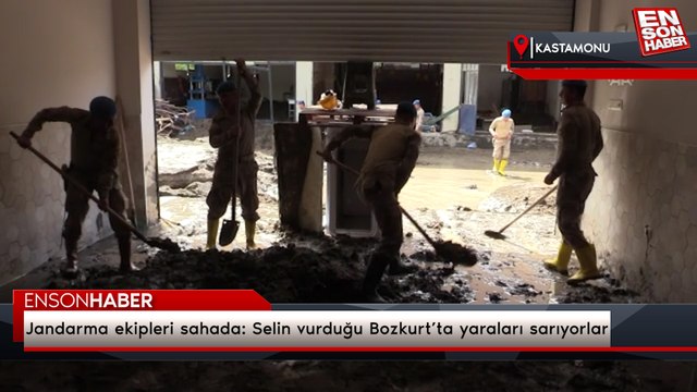 Jandarma ekipleri sahada: Selin vurduğu Bozkurt’ta yaraları sarıyorlar
