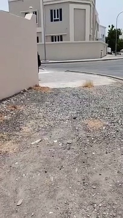 My tiktok video #1