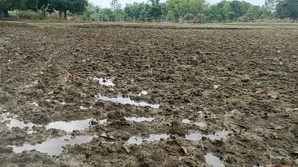 Video Story- The weather here is dishonest, due to weak rain, worry li