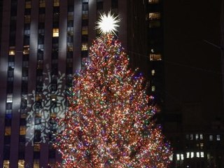 Spektakuläre Weihnachtsbäume: Diese gehören zu den schönsten der Welt