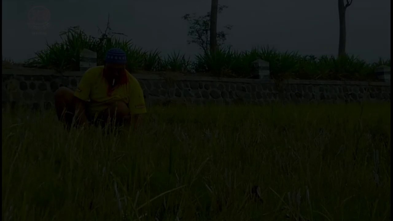 LANGGAM JAWA COCOK UNTUK TEMAN BERSANTAI