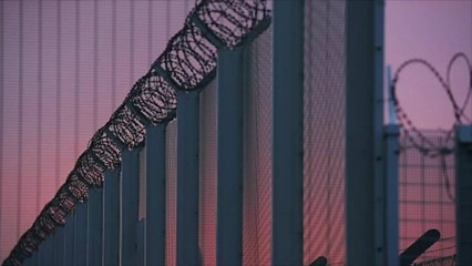 46 Dead Migrants Discovered in Truck Near U.S.-Mexico Border