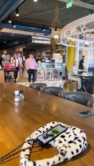 Si ta femme te demande de porter un t-shirt spécifique, méfies-toi