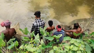 Unbelievable Traditional Fishing  Amazing Fish Hunting By Net In Village Pond fishing
