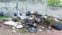 Crean nuevo basurero en la calle Hidalgo de la colonia el Calvario | CPS Noticias Puerto Vallarta