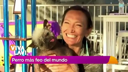 "Sr. Happy Face": el perro más feo del mundo