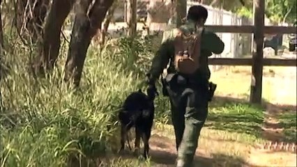 Tráfico humano condado de Duval