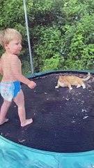 Cat Doesn't Mind Being Bounced By Kiddo