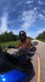 Motorcycle Hits Deer