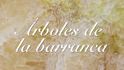 Nuevo Trayecto - Árboles De La Barranca
